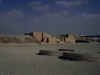 dyeser019.jpg (22180 bytes)