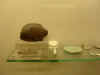 museo_egipcio_montserrat18.jpg (17627 bytes)