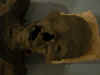 museomilan0003a.jpg (21454 bytes)