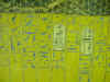 siptah_kv47_005.jpg (36954 bytes)