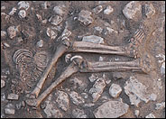 Tumba cerca de la de Aha con huesos aparentemente de sacrificios rituales, junto con amuletos y restos de brazaletes de marfil