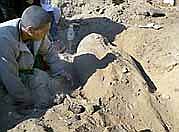 Anthropoid sarcophagus emerging from the sand