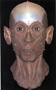 Distintas fases de la reconstruccin del rostro original de Nesperennub. CT and laser-scanning techniques have combined to examine the mummy of a priest buried in Thebes 2,800 years ago, and to recreate his life and death