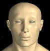 reconstruccion_rostro_tutankhamon013.jpg (11628 bytes)