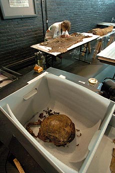 Calavera de Then-Hotep en una caja ya habiendo pasado el proceso de limpieza de manos de Kate Wight. Se cree que la momia data, al menos, de hace 2.500 aos.