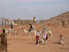 viajeegipto_findeaño2005_108.jpg (42332 bytes)