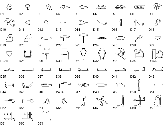 partes del cuerpo humano. partes del cuerpo humano.