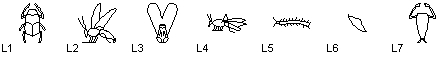 ll.gif (2104 bytes)